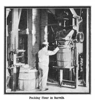 Picture 11 of 24 from Scientific American, Vol. 90, No. 9 (1904) (1904), leaf 8