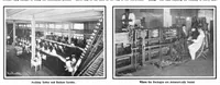 Picture 2 of 9 from Scientific American, Vol. 91, No. 2 (1904) (1904), leaf 4