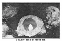 An illustration from Scientific American, Vol. 91, No. 4 (1904) (1904)