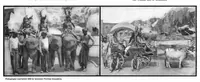 An illustration from Scientific American, Vol. 91, No. 6 (1904) (1904)