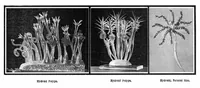 Picture 3 of 17 from Scientific American, Vol. 91, No. 9 (1904) (1904), leaf 3