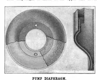 Picture 13 of 23 from Scientific American, Vol. 91, No. 12 (1904) (1904), leaf 11