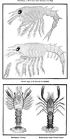 An illustration from Scientific American, Vol. 91, No. 14 (1904) (1904)