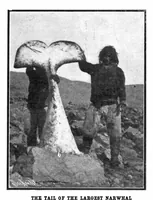 Picture 12 of 17 from Scientific American, Vol. 91, No. 15 (1904) (1904), leaf 10