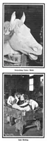 Picture 8 of 20 from Scientific American, Vol. 91, No. 16 (1904) (1904), leaf 7