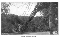 Picture 10 of 20 from Scientific American, Vol. 91, No. 16 (1904) (1904), leaf 8