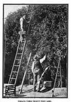Picture 10 of 19 from Scientific American, Vol. 91, No. 21 (1904) (1904), leaf 11