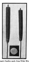 Picture 12 of 19 from Scientific American, Vol. 91, No. 23 (1904) (1904), leaf 10
