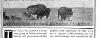 Picture 19 of 19 from Scientific American, Vol. 91, No. 23 (1904) (1904), leaf 14