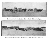 Picture 13 of 30 from Scientific American, Vol. 91, No. 25 (1904) (1904), leaf 16