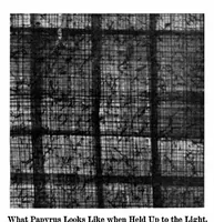 Picture 19 of 25 from Scientific American, Vol. 91, No. 27 (1904) (1904), leaf 11