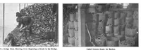 Picture 6 of 19 from Scientific American, Vol. 93, No. 11 (September 9, 1905) (1905), leaf 8