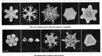 Picture 4 of 25 from Scientific American, Vol. 92, No. 2 (1905) (1905), leaf 4