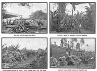 Picture 21 of 37 from Scientific American, Vol. 92, No. 4 (1905) (1905), leaf 25