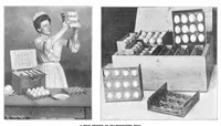 Picture 10 of 25 from Scientific American, Vol. 92, No. 5 (1905) (1905), leaf 9