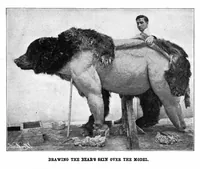 Picture 2 of 17 from Scientific American, Vol. 92, No. 14 (1905) (1905), leaf 3