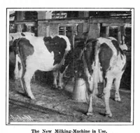 Picture 2 of 30 from Scientific American, Vol. 92, No. 19 (1905) (1905), leaf 3