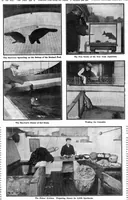 Picture 7 of 23 from Scientific American, Vol. 92, No. 21 (1905) (1905), leaf 8