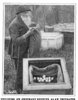Picture 15 of 25 from Scientific American, Vol. 92, No. 24 (1905) (1905), leaf 11