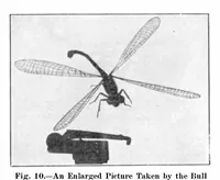 Picture 10 of 20 from Scientific American, Vol. 93, No. 3 (1905) (1905), leaf 10