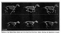 Picture 3 of 18 from Scientific American, Vol. 93, No. 5 (1905) (1905), leaf 4