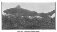 Picture 12 of 26 from Scientific American, Vol. 93, No. 13 (1905) (1905), leaf 10