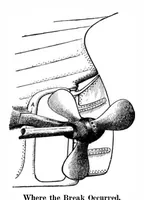 Picture 5 of 26 from Scientific American, Vol. 93, No. 17 (1905) (1905), leaf 4