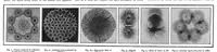 An illustration from Scientific American, Vol. 93, No. 20 (1905) (1905)