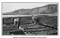 An illustration from Scientific American, Vol. 93, No. 25 (1905) (1905)