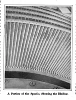 Picture 3 of 23 from Scientific American, Vol. 94, No. 6 (1906) (1906), leaf 3