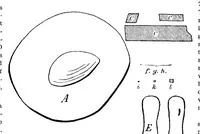 An illustration from Scientific American, Vol. 94, No. 7 (1906) (1906)