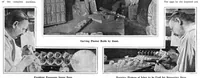 Picture 9 of 21 from Scientific American, Vol. 94, No. 15 (1906) (1906), leaf 7