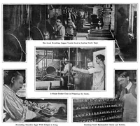 Picture 12 of 21 from Scientific American, Vol. 94, No. 15 (1906) (1906), leaf 8