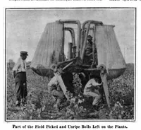 Picture 17 of 29 from Scientific American, Vol. 94, No. 18 (1906) (1906), leaf 10