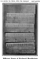 Picture 3 of 21 from Scientific American, Vol. 94, No. 21 (1906) (1906), leaf 3