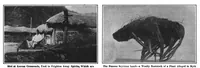 An illustration from Scientific American, Vol. 97, No. 8 (August 24, 1907) (1907)