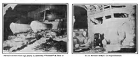 Picture 5 of 16 from Scientific American, Vol. 96, No. 1 (1907) (1907), leaf 4
