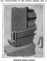 Picture 15 of 24 from Scientific American, Vol. 96, No. 5 (1907) (1907), leaf 11