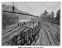 Picture 8 of 24 from Scientific American, Vol. 96, No. 5 (1907) (1907), leaf 7