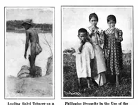 Picture 7 of 15 from Scientific American, Vol. 96, No. 7 (1907) (1907), leaf 7