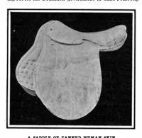 Picture 22 of 37 from Scientific American, Vol. 96, No. 8 (1907) (1907), leaf 14