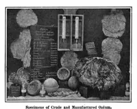 Picture 10 of 21 from Scientific American, Vol. 96, No. 10 (1907) (1907), leaf 8
