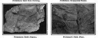Picture 10 of 27 from Scientific American, Vol. 96, No. 13 (1907) (1907), leaf 8