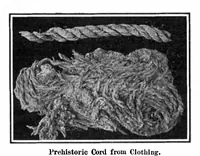 Picture 11 of 27 from Scientific American, Vol. 96, No. 13 (1907) (1907), leaf 8