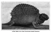 An illustration from Scientific American, Vol. 96, No. 18 (1907) (1907)