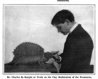 Picture 2 of 23 from Scientific American, Vol. 96, No. 18 (1907) (1907), leaf 3