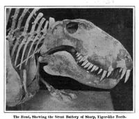 Picture 3 of 23 from Scientific American, Vol. 96, No. 18 (1907) (1907), leaf 3