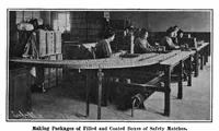 Picture 11 of 27 from Scientific American, Vol. 96, No. 19 (1907) (1907), leaf 8