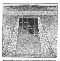 Picture 14 of 26 from Scientific American, Vol. 96, No. 22 (1907) (1907), leaf 11