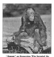 Picture 17 of 27 from Scientific American, Vol. 96, No. 25 (1907) (1907), leaf 10
